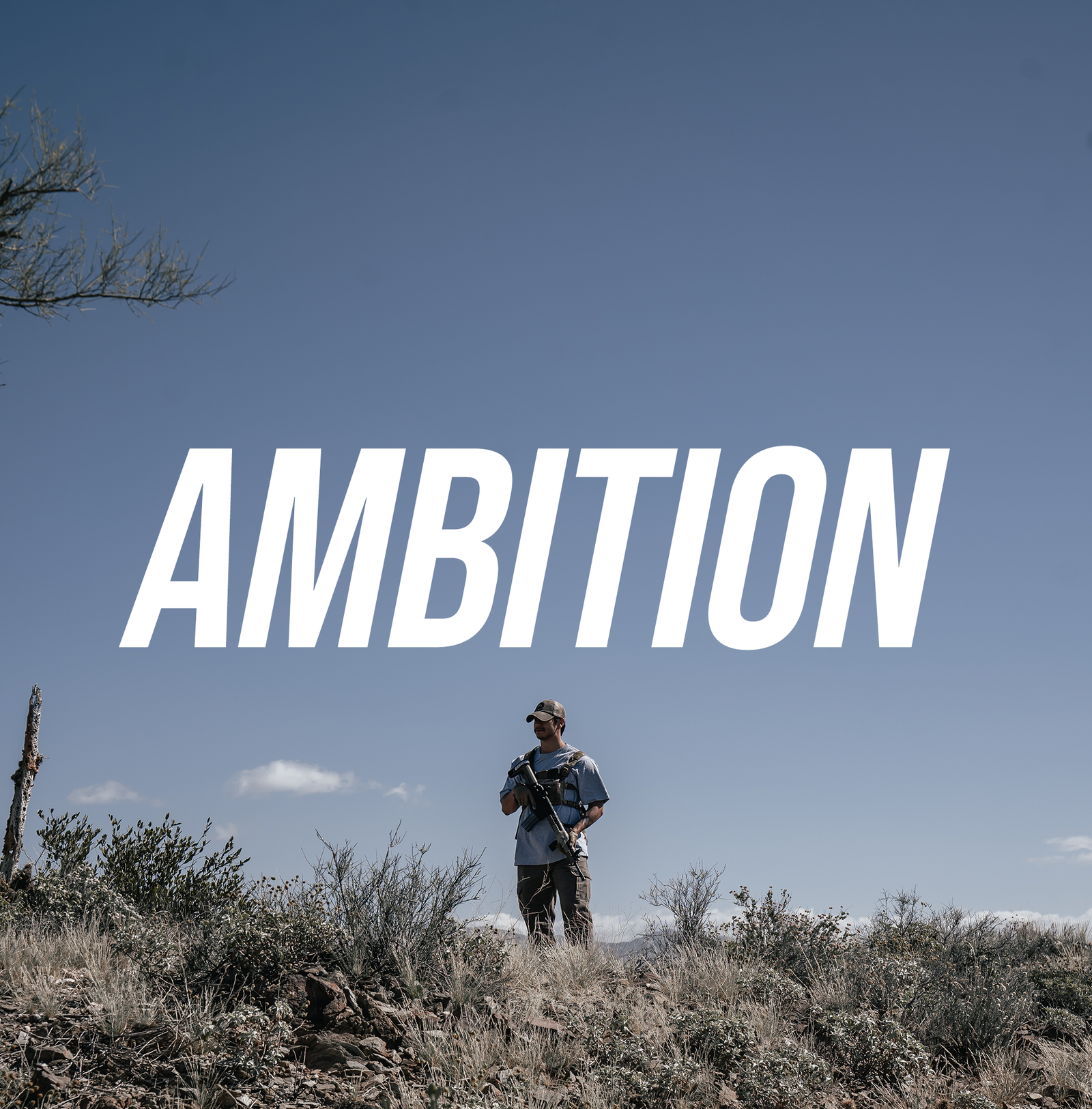 Ambition